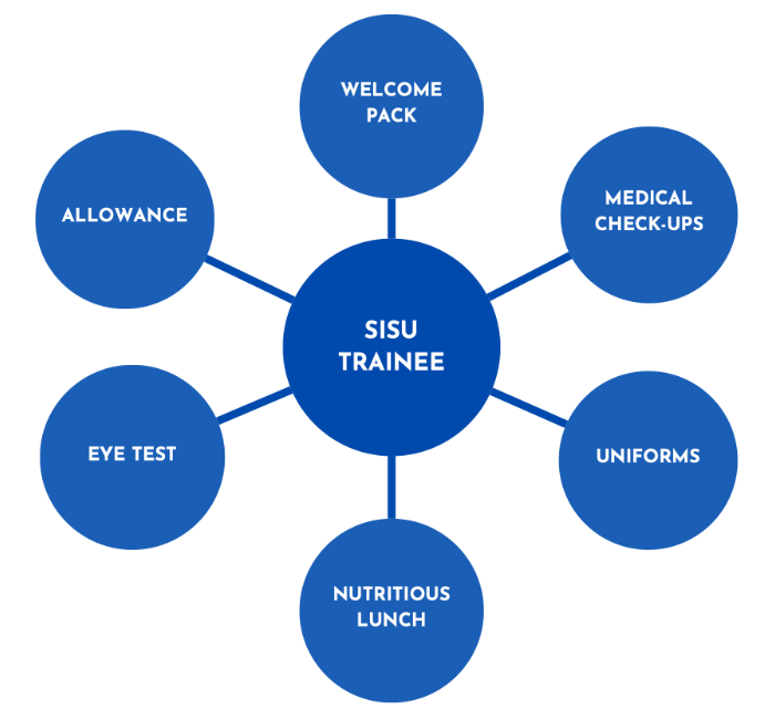 SISU approach chart