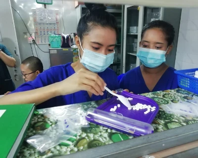 SISU basic health care trainees learning pharacology